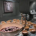 아파트호텔 La Foresteria Di Rocca Di Frassinello 3*