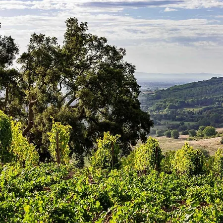 La Foresteria Di Rocca Di Frassinello 아파트호텔