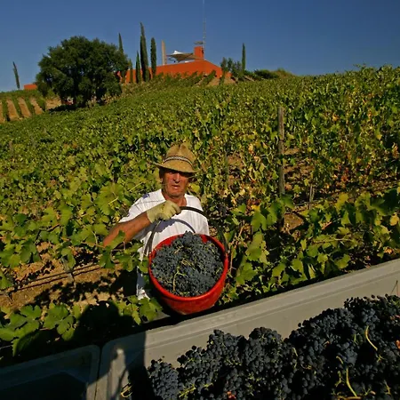 公寓式酒店 La Foresteria Di Rocca Di Frassinello 加沃拉诺
