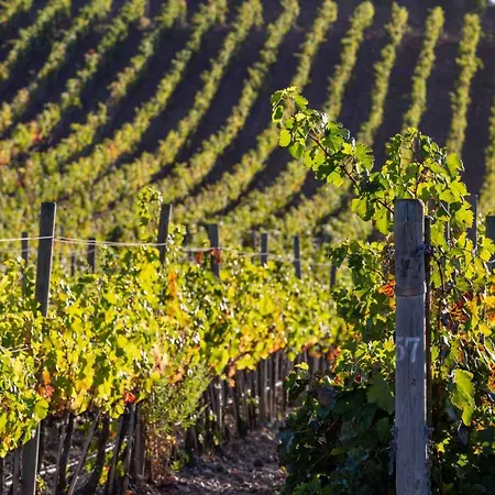 公寓式酒店 La Foresteria Di Rocca Di Frassinello 3*